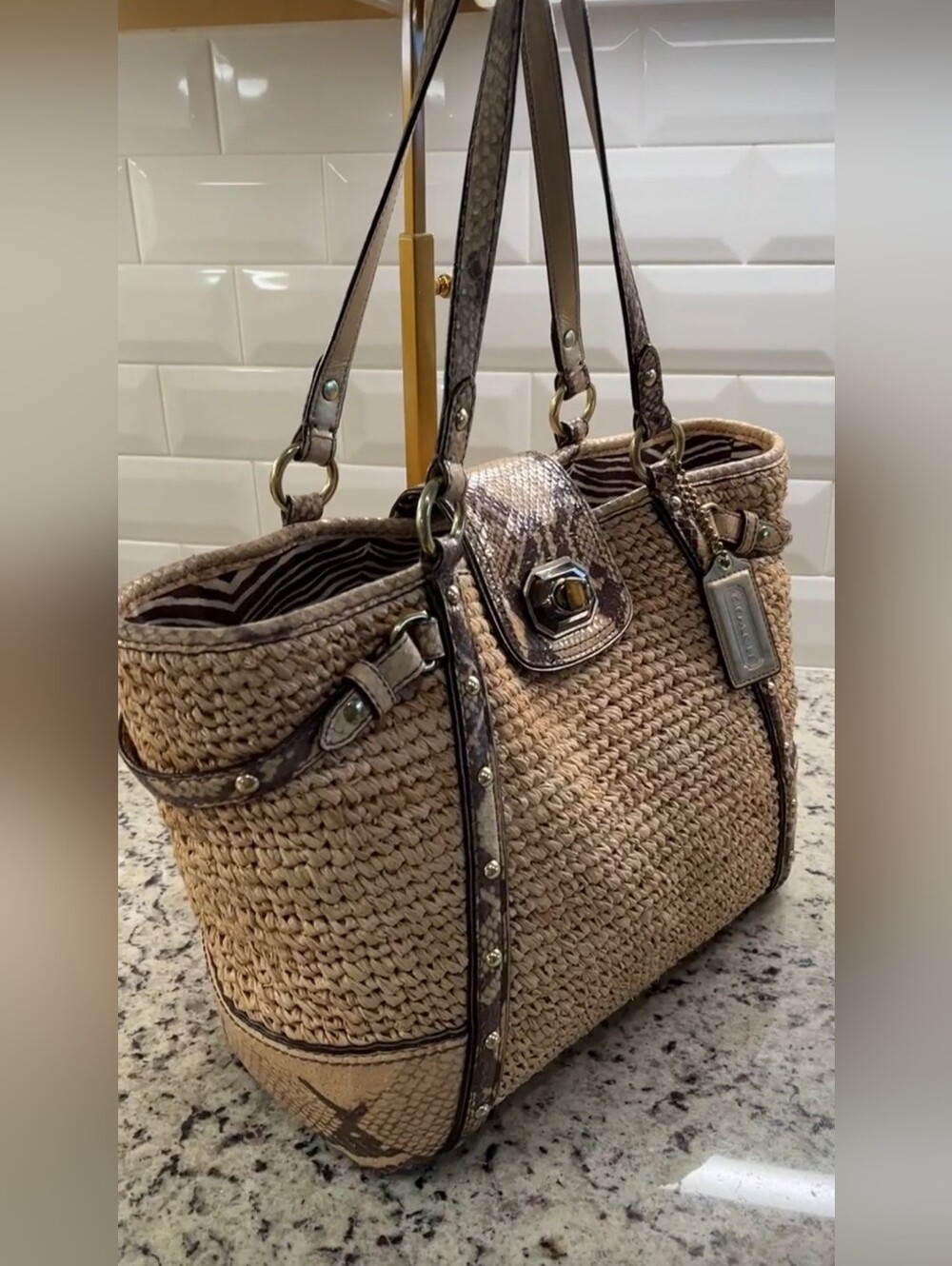 Coach Natalie Python & Raffa Tote - Picture 2 of 16